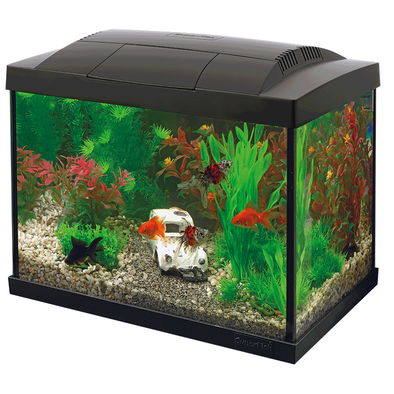 Starter 20 Aquarium Kit – modernes 16L Aquarium mit stilvollem Design.