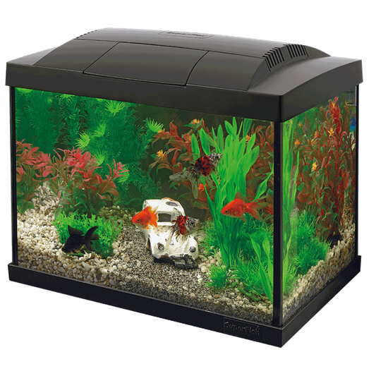 Starter 20 Aquarium Kit – modernes 16L Aquarium mit stilvollem Design.