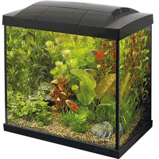 Start 30 Tropical Kit mit LED-Beleuchtung und Innenfilter für tropische Aquarien