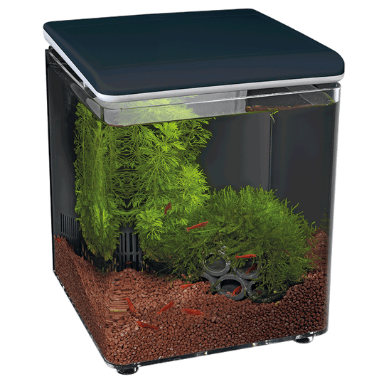 Home 8 Süßwasser Aquarium mit LED-Beleuchtung und Dekoration