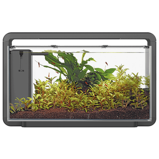 SuperFish Home 30 Süßwasser Schwarz Aquarium mit klarer LED-Beleuchtung und elegantem Design.