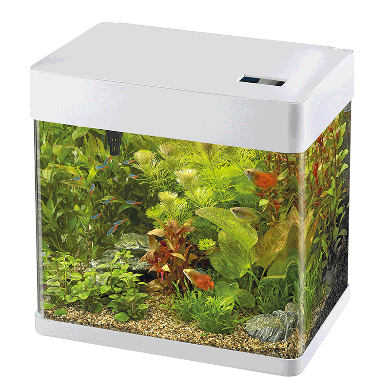 Panorama 20 LED Aquarium mit LED-Beleuchtung und Panorama-Frontansicht