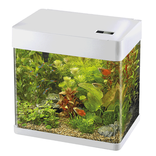Panorama 20 LED Aquarium mit LED-Beleuchtung und Panorama-Frontansicht