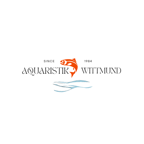 COLOMBO Stör Food ( Medium/ Large) Sturgeon Pellets