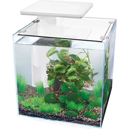 QubiQ 30 Pro Weiß Aquarium mit LED – ideal für Pflanzen & Garnelen