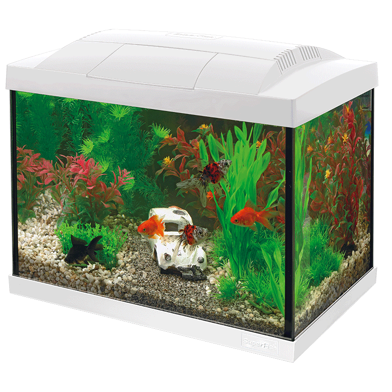 Starter 20 Aquarium Kit