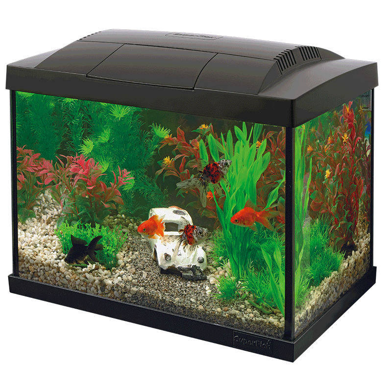 Starter 20 Aquarium Kit