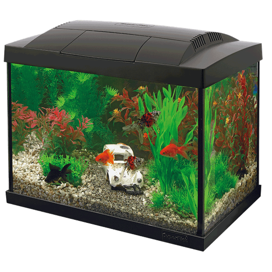 Starter 20 Aquarium Kit