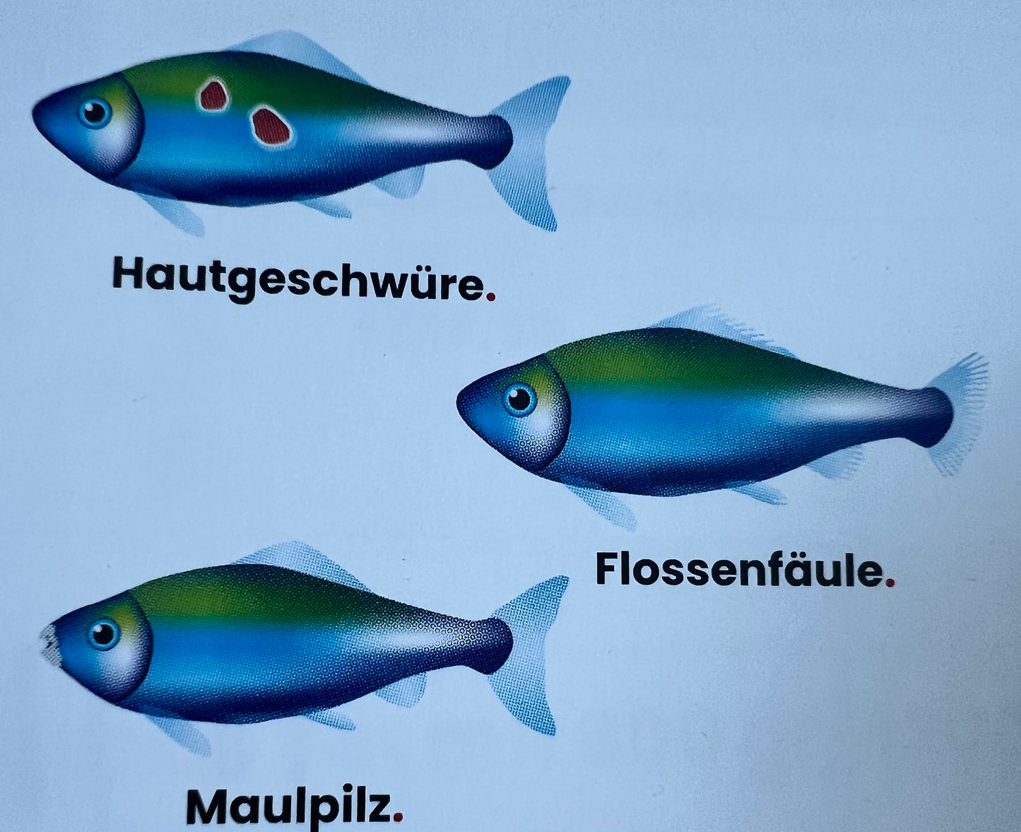 Cerpofor Bactyfec (bakterielle Infektionen)